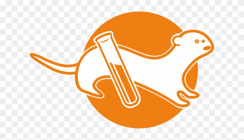 Laboratory - Laboratory #1256676