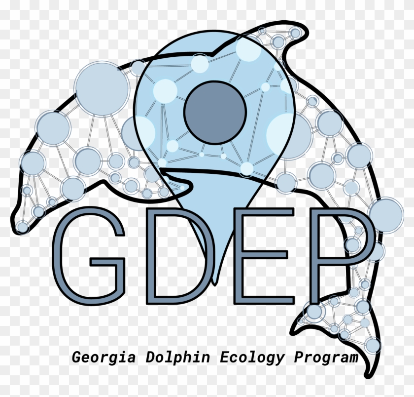 Georgia Dolphin Ecology Program - Ecology #1256690