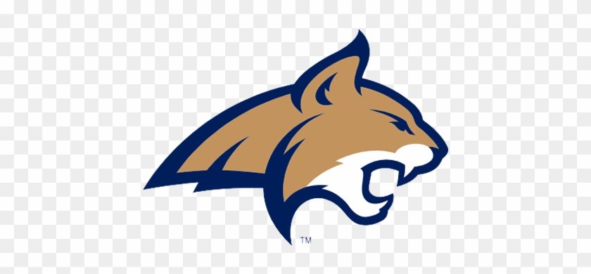 Montana State Catwalk - Montana State Bobcats #1256697