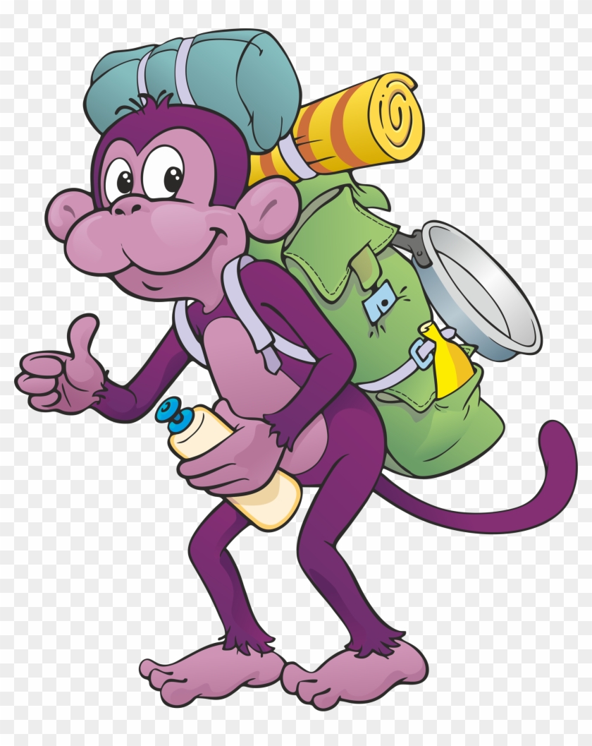 Purple Monkey Hostel Medellin - Backpacker Monkey #1256867