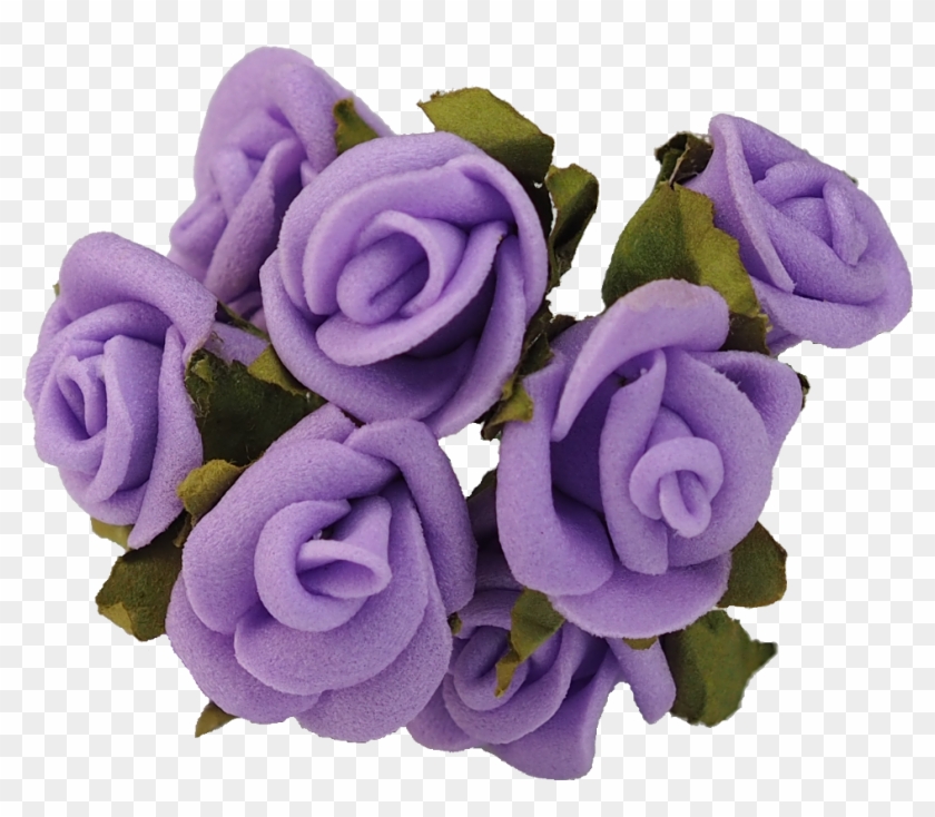 Com, Purple Roses, Uc - Com, Purple Roses, Uc #1256927