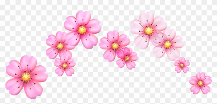 Crown Crownflower Flower Flowercrown Cherry Cherrybloss - Crown Crownflower Flower Flowercrown Cherry Cherrybloss #1256942