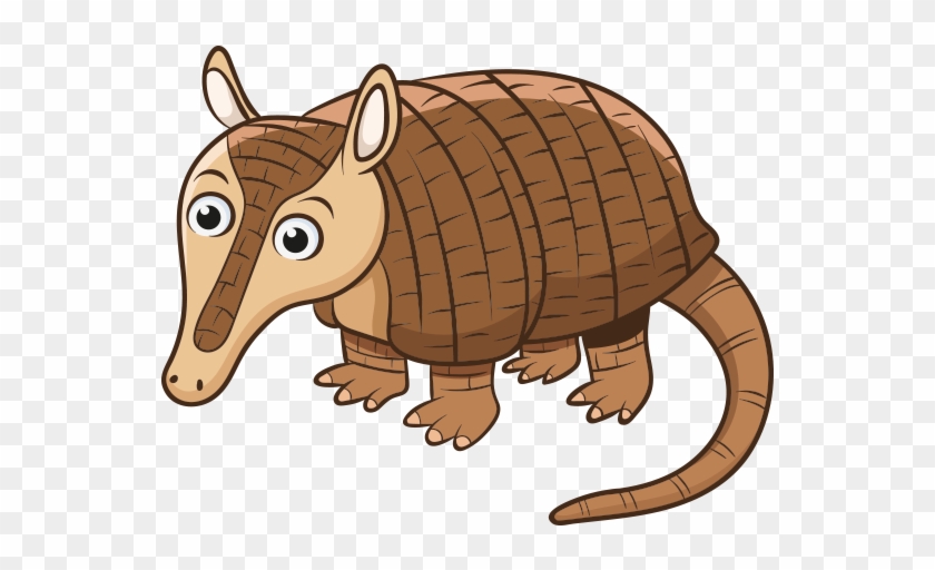 Clipart Armadillo Hayvanı - Armadillo #1257088