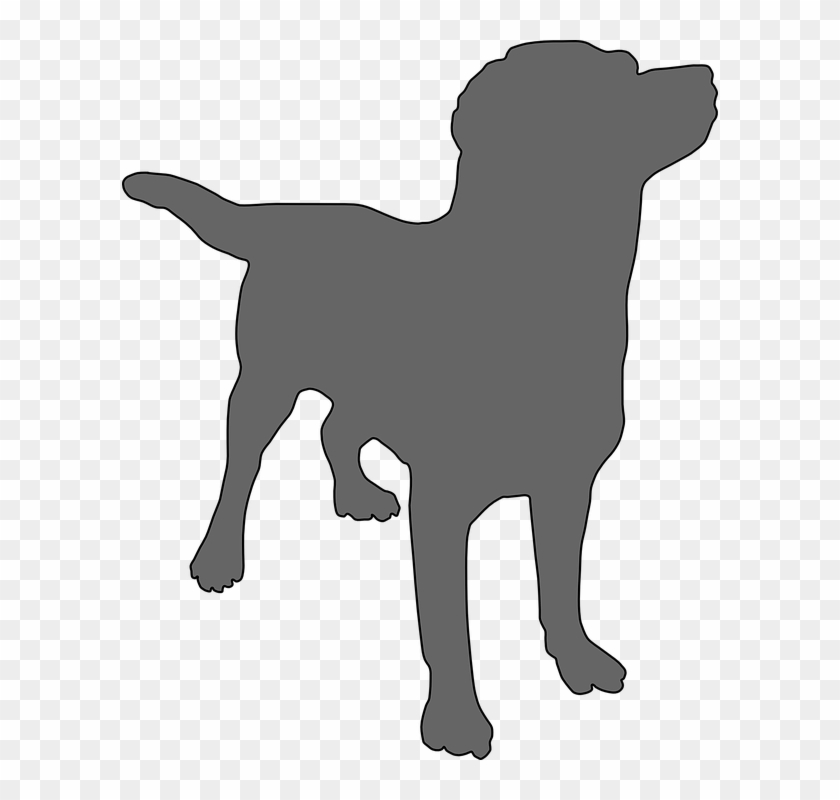 Collection Of Domestic Dog Cliparts - Dog Clipart Transparent Background #1257578