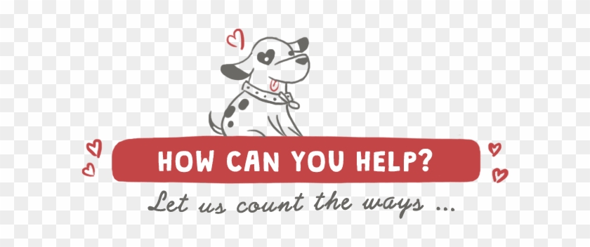 As A Shelterless Rescue, We Rely Heavily On The Generosity - Volunteer For Dog Rescue #1257705