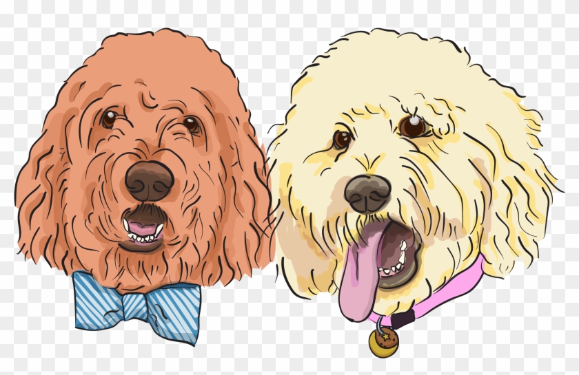 If You're Interested In Commissioning An Illustration, - Labradoodle #1257716