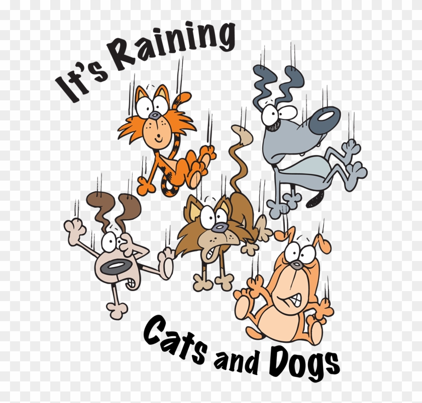 It's Raining Cats And Dogs Metaphor #1257734
