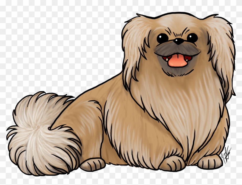Breed Of The Month Is The Pekingese Check Out All The - Pekingese #1257750
