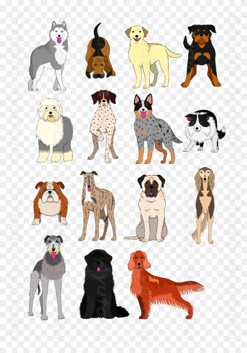 Group Of Large And Middle Dogs Breeds Hand Drawn1 Studio - Dog #1257909