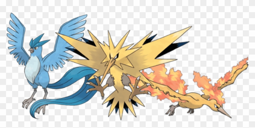 Three Legendary Bird Pokemon #1258464