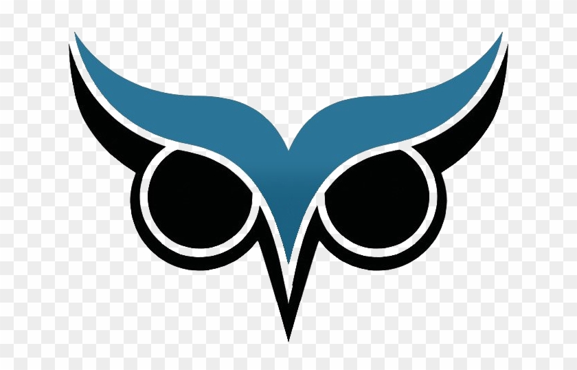 Brow Analytics Three Years - Owl Eye Vector Png #1258479