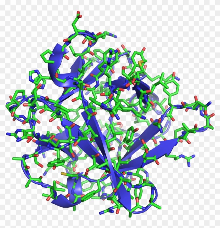3-d Structure Of Fibroblast Growth Factor 2 Or Fgf - Fibroblast Growth Factor #1259006