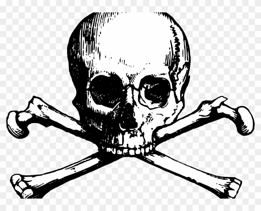 Download Breathtaking Skull And Bones Pictures Free - Download Breathtaking Skull And Bones Pictures Free #1259081