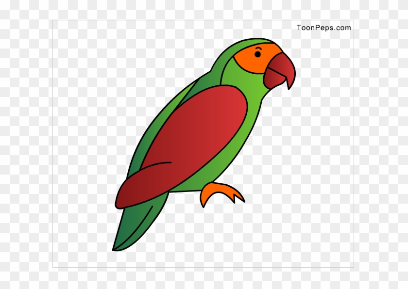 How To Draw How To Draw A Parrot For Kids Hellokidscom - Drawing #1259235