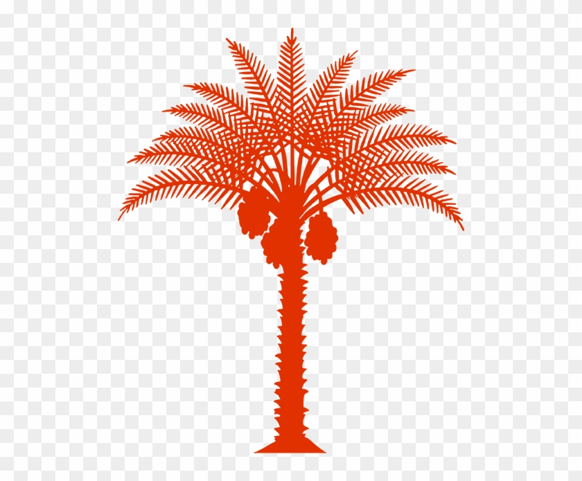 Palm - Date Palm #1259887