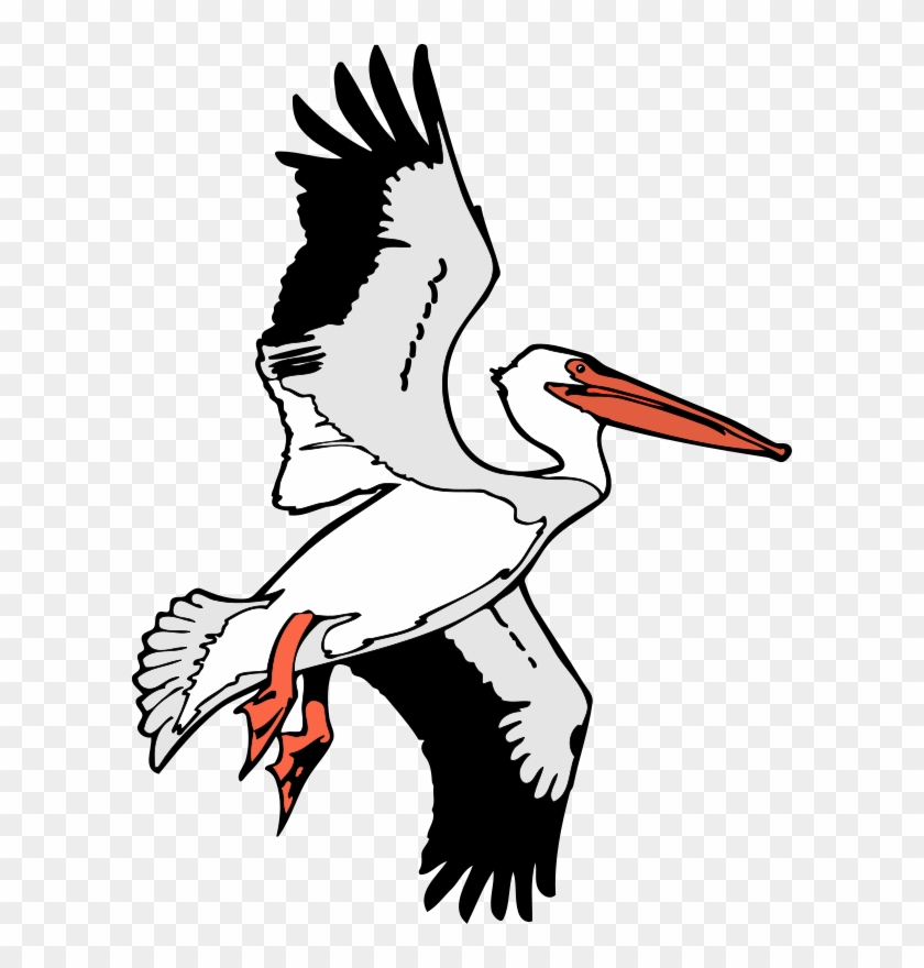 Bird 53 Free Vector / 4vector - Flying Pelican Clip Art #1260055