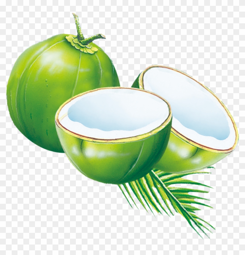 Coconut Water Coconut Milk Powder Es Kelapa Muda - Coconut Water Coconut Milk Powder Es Kelapa Muda #1260085