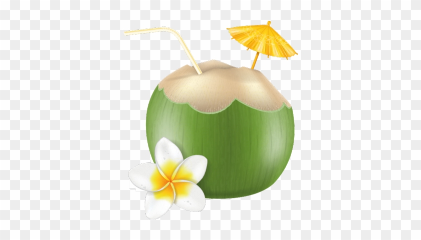 Travel Stickers Holiday Greetings For Imessage Messages - Green Coconut Vector #1260100