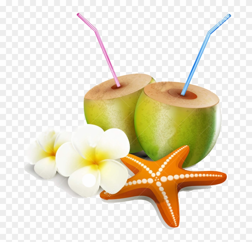 Vector Free Download, Starfish, Tropical, Drink, Google - Coconut #1260128