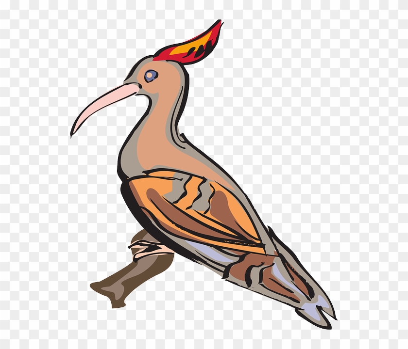 Branch, Wings, Animal, Beak, Feathers, Perched - Clip Art #1260290