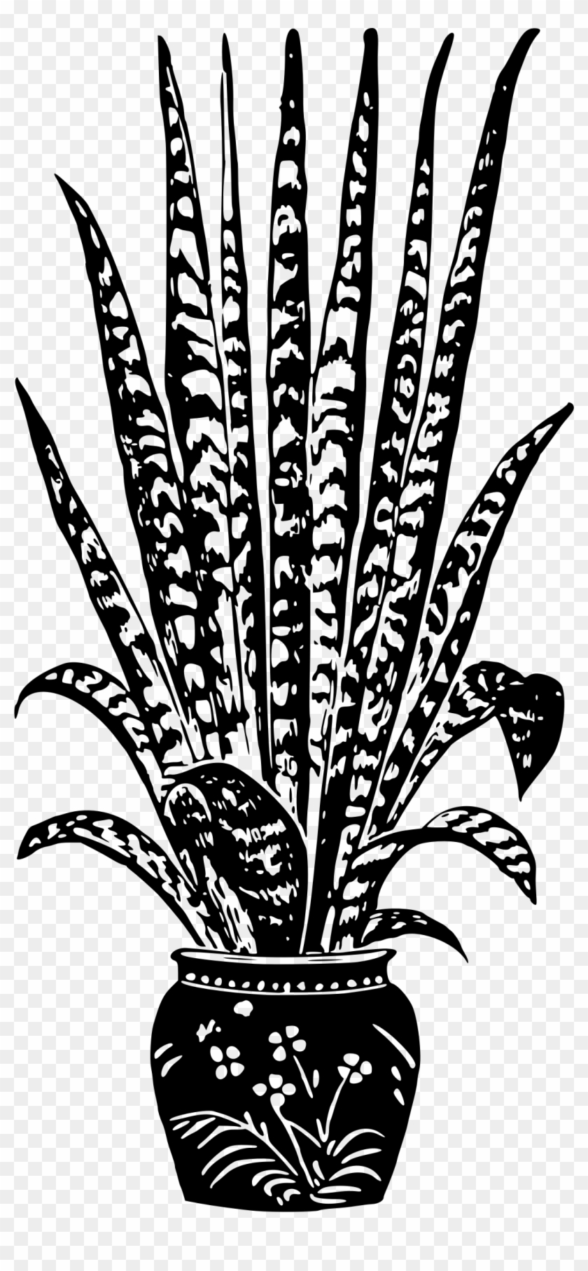 Potted Plant 7 - House Plant Png Black And White #1260343