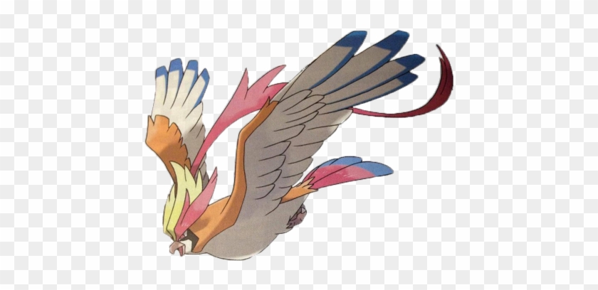 Pokemon My Posts Transparent Pidgeot Oras Castavoice - Pidgey Pokemon Mega #1260372