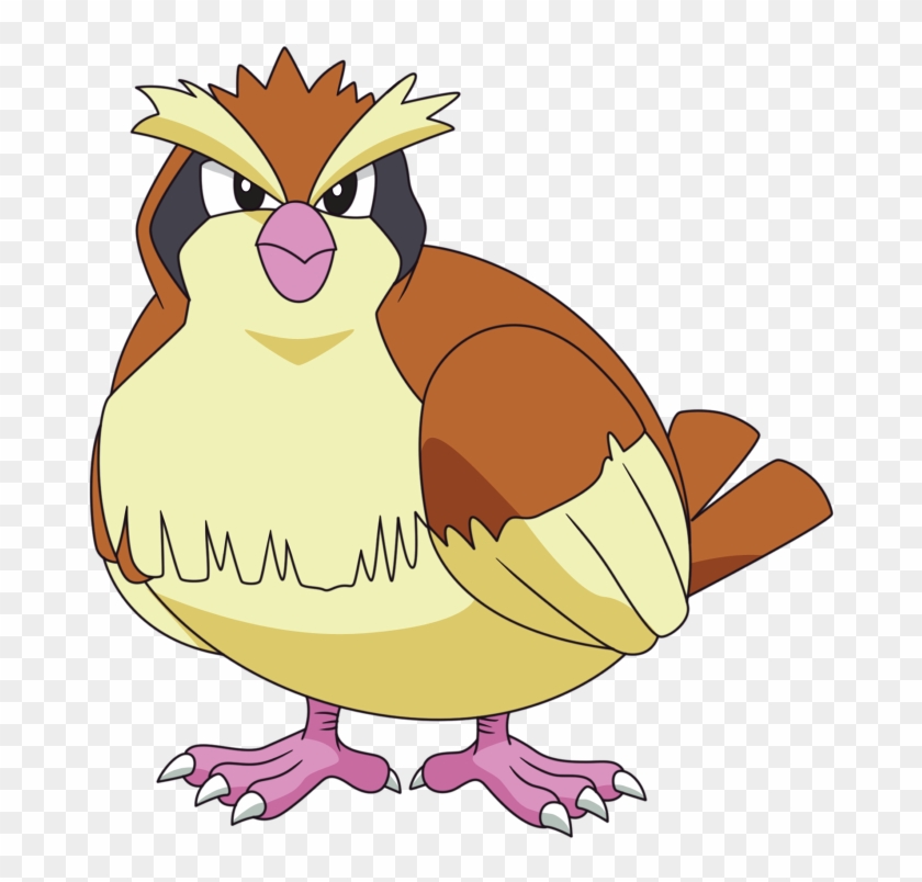 Free Pidgey Pidgeotto Pidgeot - Cartoon #1260385