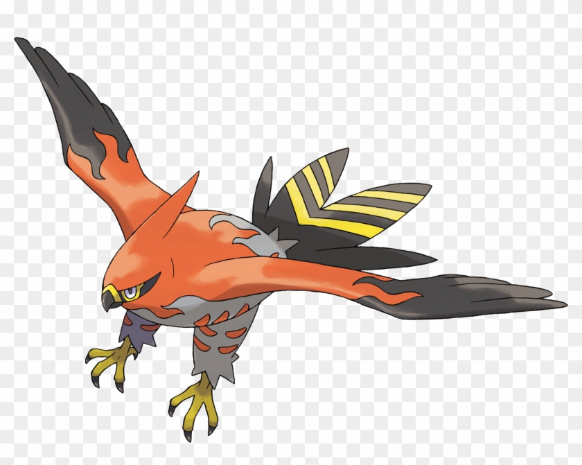 Staraptor Vs Pidgeot Talonflame - Pokemon Tipo Fuego Volador #1260392