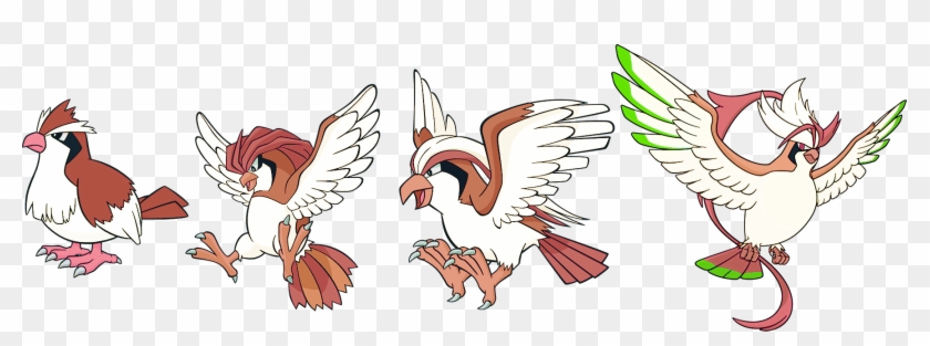 Alternate Shinies - Pidgey Pidgeotto Pidgeot Mega Pidgeot #1260411