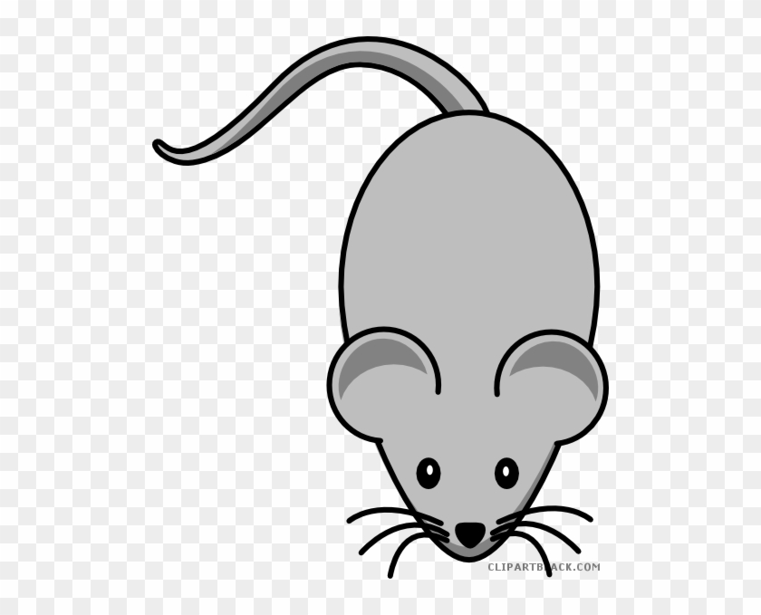 Grey Mouse Animal Free Black White Clipart Images Clipartblack - Mouse Clipart #1260603