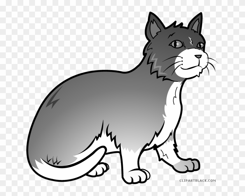Grey Cat Animal Free Black White Clipart Images Clipartblack - Grey Cat Clip Art #1260609