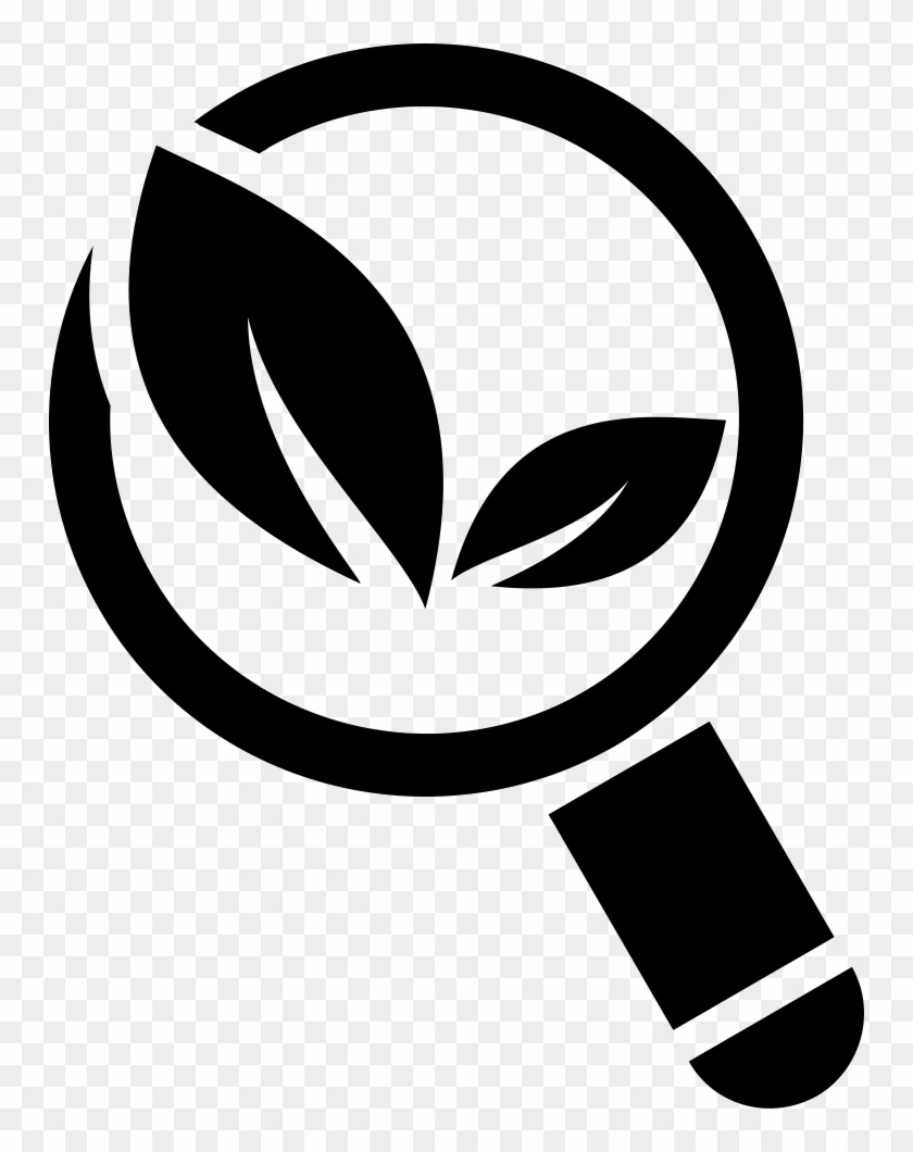 Organic Search Symbol Of Magnification Tool With Leaves - Organic Icon Png #1260726