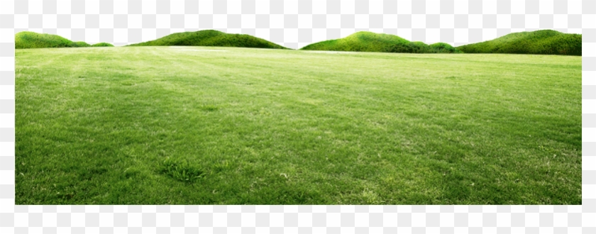 Fresh Spring Green Grass Hill - Lawn #1260796