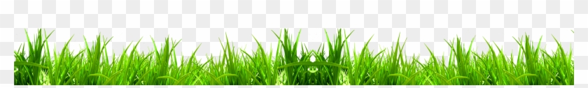 Green Download Weed Icon - Grass Icon #1260813