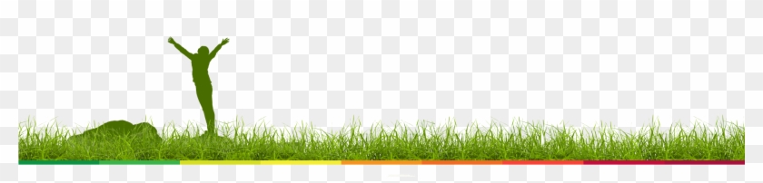 Wheatgrass Desktop Wallpaper Computer Commodity Wallpaper - Lawn #1260821