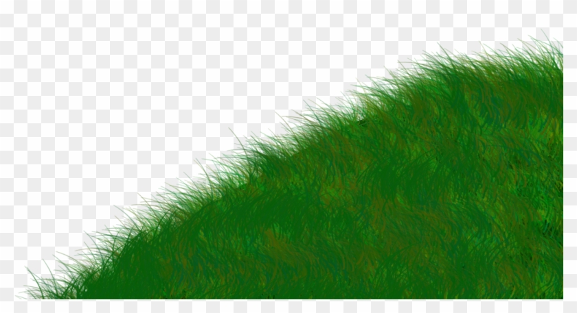 Rumput Animasi - Chlorophyta #1260834