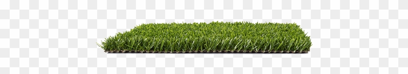 Smart Tiny2 Turfgrass Psh - Lawn #1260849
