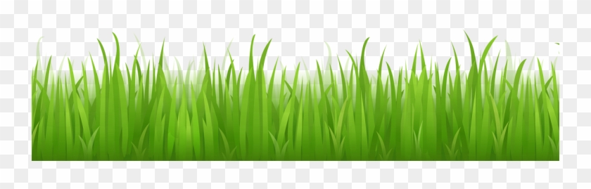 Grass-750x440 - Illustrator Grass #1260854