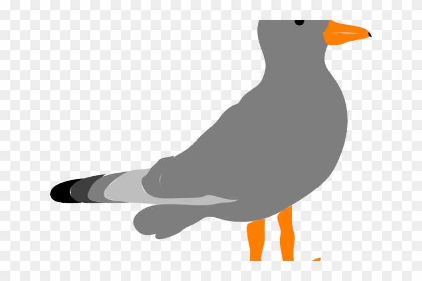 Seagull Clipart Vector - Clip Art Gull #1260960