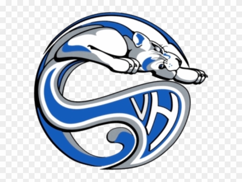 Vernon Hills High School Mascot #1261522