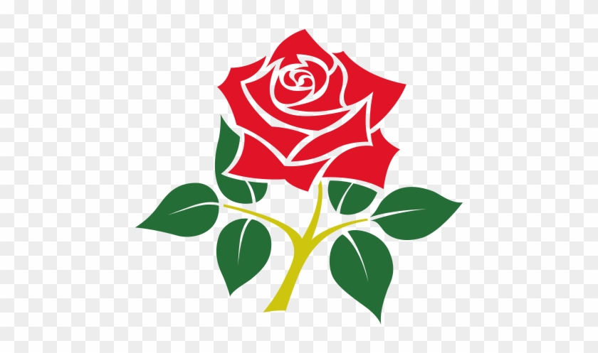 Rose Emblem Of England #1261571