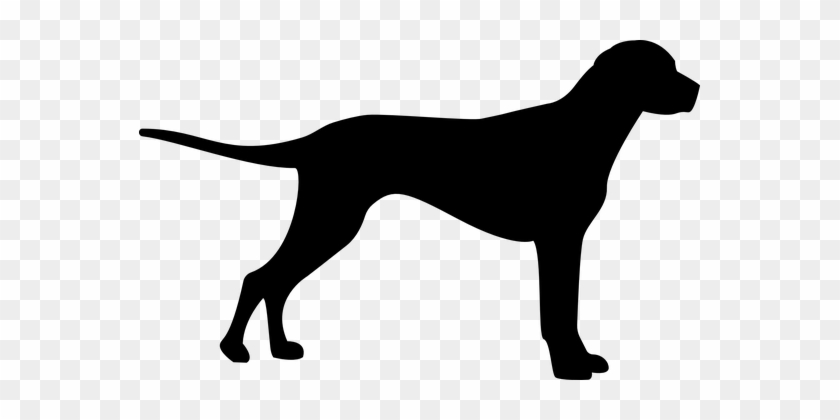 Dog Silhouette Animal Domestic Dog Farmdog - Hund Silhouette #1261645