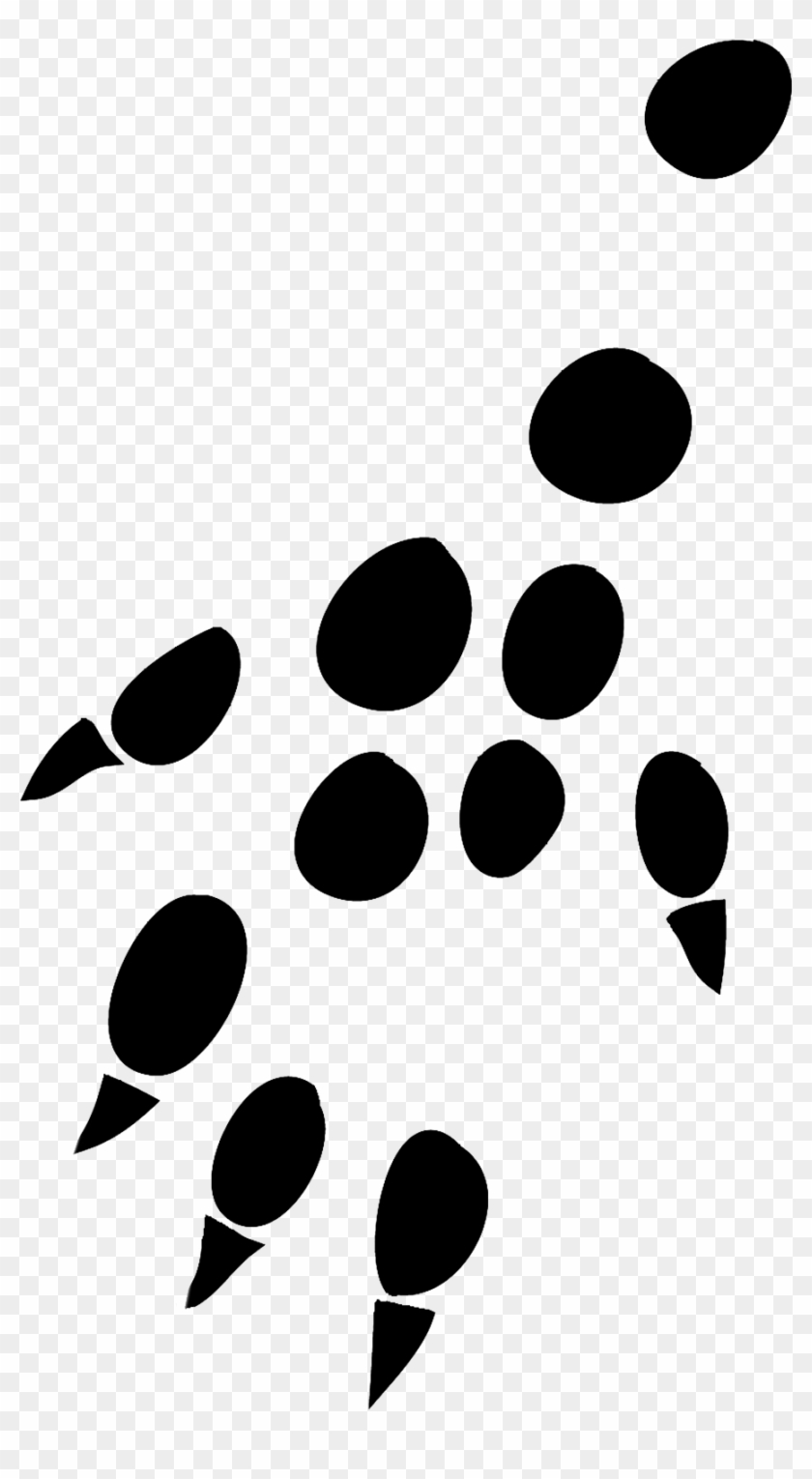Hedgehog Front Leg Png Hedgehog Hind Leg Print Png - Rat Paw Footprints #1261731