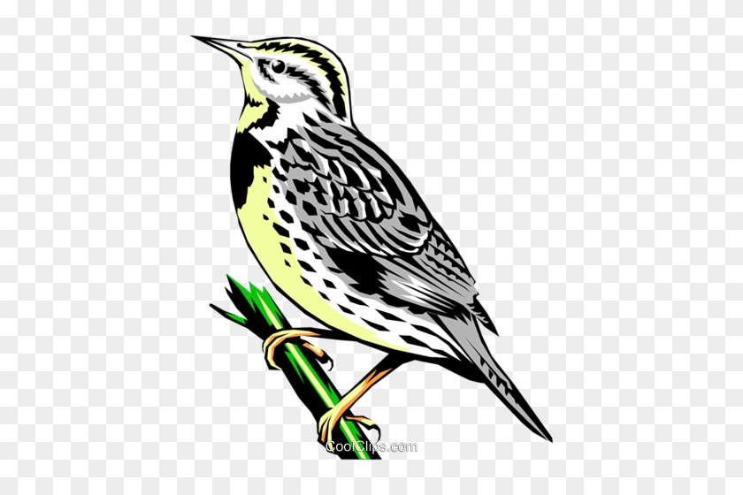 Western Meadowlark Clipart 3 By Rebecca - Western Meadowlark Transparent #1261905