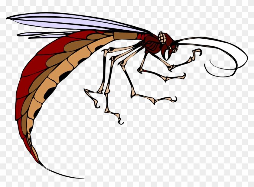 Insect Mosquito Clip Art - Insect Clip Art #1262541