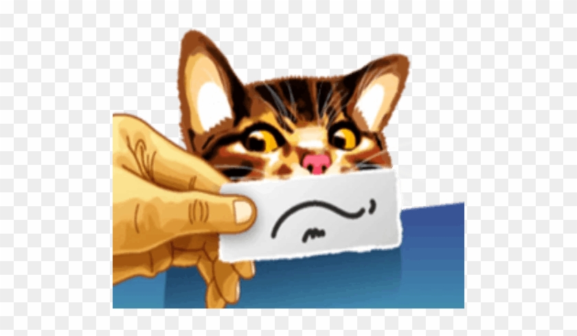 Meme Cat Messages Sticker-4 - Kitten #1263073