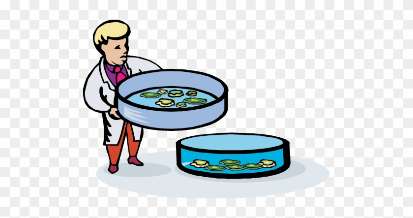 Science - Science #1263182