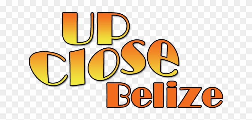 Upclose Belize Logo - Illustration #1263809