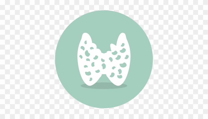 Endocrine - Circle #1263818