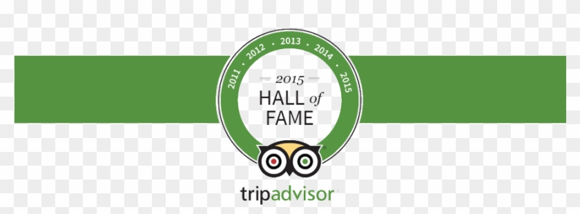 Tripadvisor Hall Of Fame Award - Trip Advisor #1263901